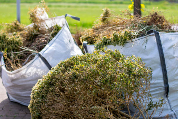 Best Shed Removal  in Stuart, IA